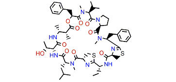 Grassypeptolide C